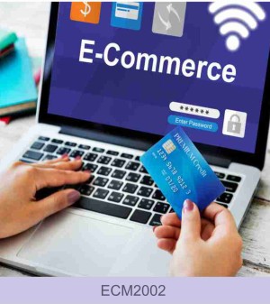 Loja Virtual  E-comerce      Essencial - Profissional - Premium